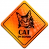 Magnes Odblaskowy Cat on Board Orange