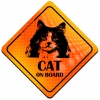 Magnes Odblaskowy Cat on Board Orange