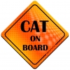 Magnes Odblaskowy Cat on Board Orange