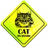 Magnes Odblaskowy Cat on board Neon