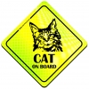 Magnes Odblaskowy Cat on board Neon