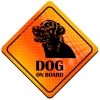 Magnes Odblaskowy Dog on Board Orange Magnes Odblaskowy Dog on Board Orange