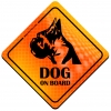 Magnes Odblaskowy Dog on Board Orange