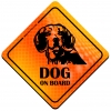 Magnes Odblaskowy Dog on Board Orange