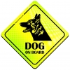 Magnes Odblaskowy Dog on board Neon