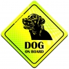 Magnes Odblaskowy Dog on board Neon Magnes Odblaskowy Dog on board Neon