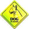 Magnes Odblaskowy Dog on board Neon