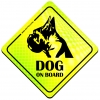 Magnes Odblaskowy Dog on board Neon