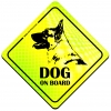 Magnes Odblaskowy Dog on board Neon