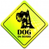 Magnes Odblaskowy Dog on board Neon