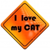 Magnes Odblaskowy I Love My Cat Orange