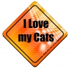 Magnes Odblaskowy I Love My Cats Orange