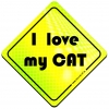 Magnes Odblaskowy I Love my Cat Neon