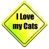 Magnes Odblaskowy I Love my Cats Neon