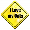 Magnes Odblaskowy I Love my Cats Żółty Magnes Odblaskowy I Love my Cats Żółty