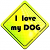 Magnes Odblaskowy I Love my Dog Neon