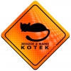 Magnes Odblaskowy Jedzie z nami Kotek Orange