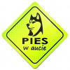 Magnes Odblaskowy Pies w aucie Neon Magnes Odblaskowy Pies w aucie Neon