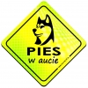 Magnes Odblaskowy Pies w aucie Neon Magnes Odblaskowy Pies w aucie Neon