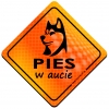 Magnes Odblaskowy Pies w aucie Orange
