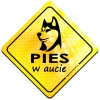 Magnes Odblaskowy Pies w aucie Żółty
