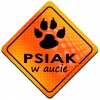 Magnes Odblaskowy Psiak w aucie Orange