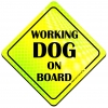 Magnes Odblaskowy Working Dog on board Neon Magnes Odblaskowy Working Dog on board Neon