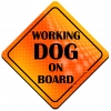 Magnes Odblaskowy Working Dog on board Orange Magnes Odblaskowy Working Dog on board Orange