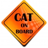 Naklejka Odblaskowa / Sticker Cat on Board Orange Naklejka Odblaskowa / Sticker Cat on Board Orange