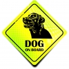 Naklejka Odblaskowa / Sticker Dog on Board Neon Naklejka Odblaskowa / Sticker Dog on Board Neon