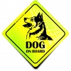 Naklejka Odblaskowa / Sticker Dog on Board Neon