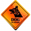 Naklejka Odblaskowa / Sticker Dog on Board Orange