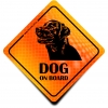 Naklejka Odblaskowa / Sticker Dog on Board Orange