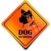 Naklejka Odblaskowa / Sticker Dog on Board Orange