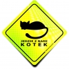 Naklejka Odblaskowa / Sticker Jedzie Kotek Neon