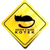 Naklejka Odblaskowa / Sticker Jedzie Kotek Żółty