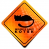 Naklejka Odblaskowa / Sticker Jedzie z Nami Kotek Orange