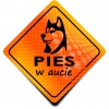 Naklejka Odblaskowa / Sticker Pies w Aucie Orange