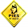Naklejka Odblaskowa / Sticker Pies w aucie Żółty