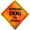 Naklejka Odblaskowa / Sticker Working Dog on board Orange Naklejka Odblaskowa / Sticker Working Dog on board Orange