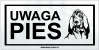 Tabliczka Informacyjna Odblaskowa UWAGA PIES 12X24CM