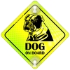 Tabliczka odblaskowa z przyssawkami Dog on Board Neon