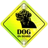 Tabliczka odblaskowa z przyssawkami Dog on Board Neon Tabliczka odblaskowa z przyssawkami Dog on Board Neon
