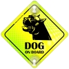 Tabliczka odblaskowa z przyssawkami Dog on Board Neon