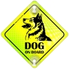 Tabliczka odblaskowa z przyssawkami Dog on Board Neon