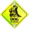 Tabliczka odblaskowa z przyssawkami Dog on Board Neon