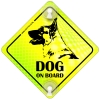 Tabliczka odblaskowa z przyssawkami Dog on Board Neon