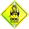 Tabliczka odblaskowa z przyssawkami Dog on Board Neon