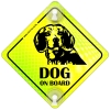 Tabliczka odblaskowa z przyssawkami Dog on Board Neon