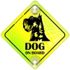 Tabliczka odblaskowa z przyssawkami Dog on Board Neon